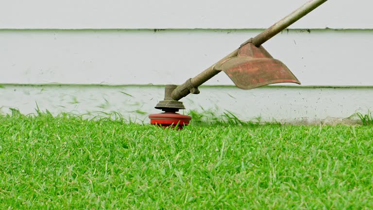 Best Pest Control for Lawns  in Muskegon Heights, MI