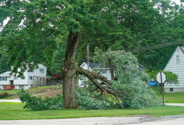 Best Storm Damage Tree Cleanup  in Muskegon Heights, MI