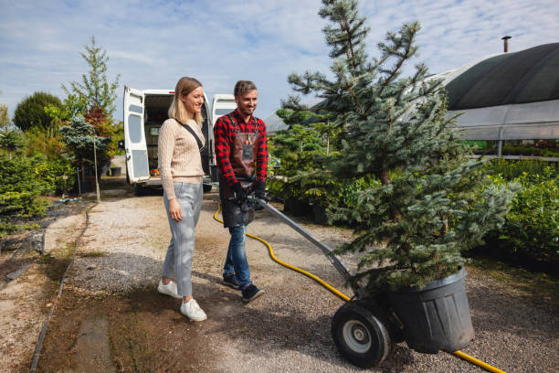 Best Tree Preservation Services  in Muskegon Heights, MI